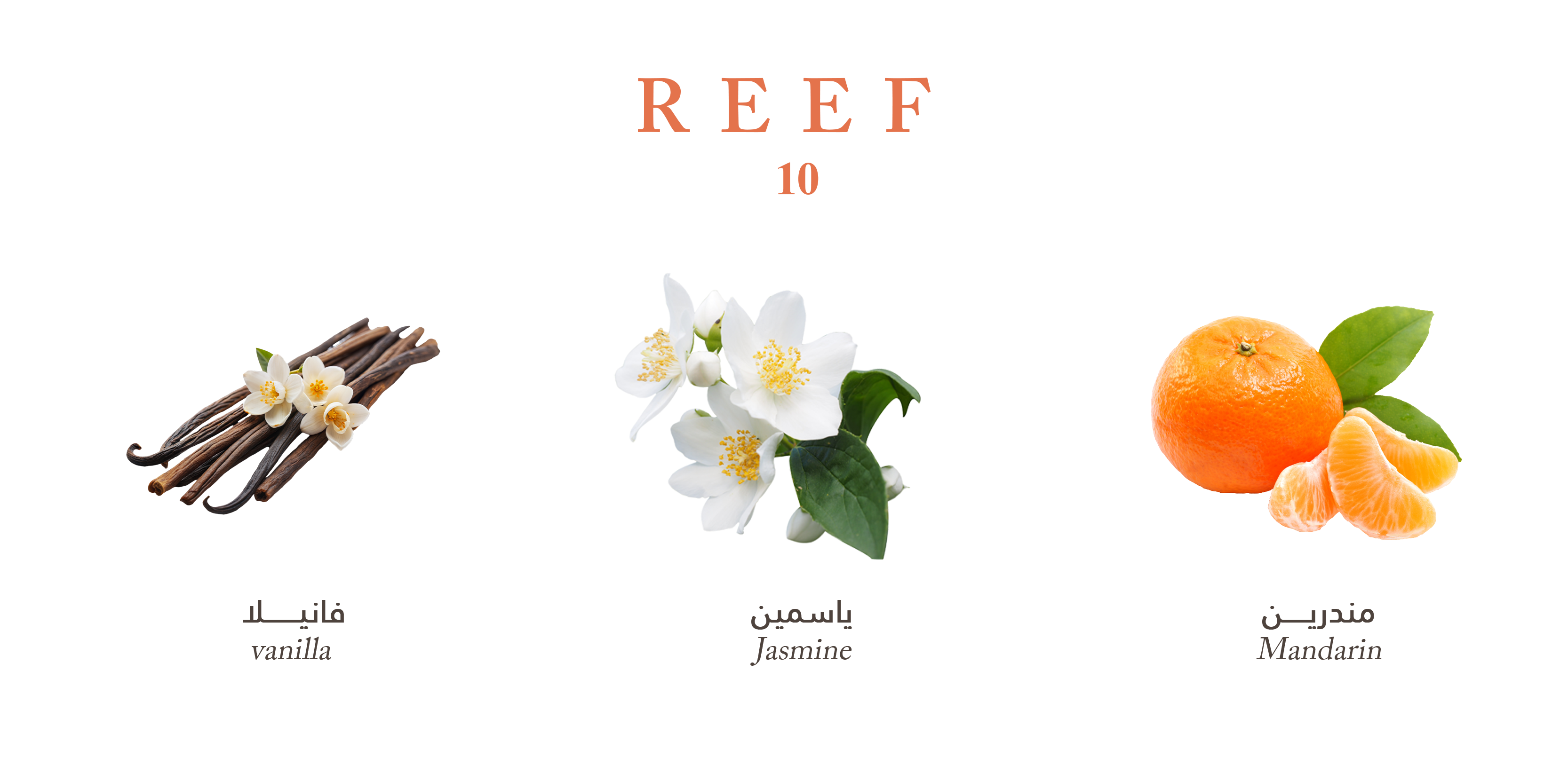Reef 10 - Mandarin Jasmine Veil