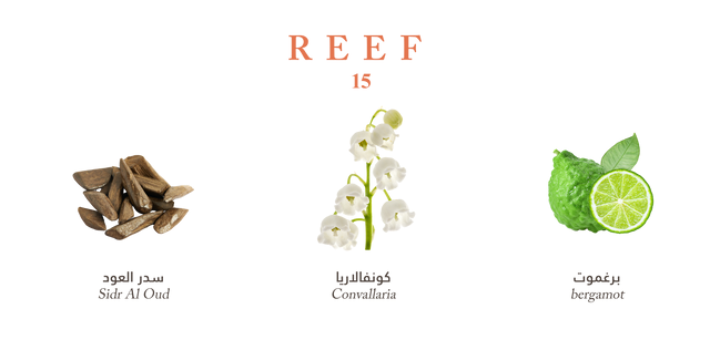 Reef 15 - Mini