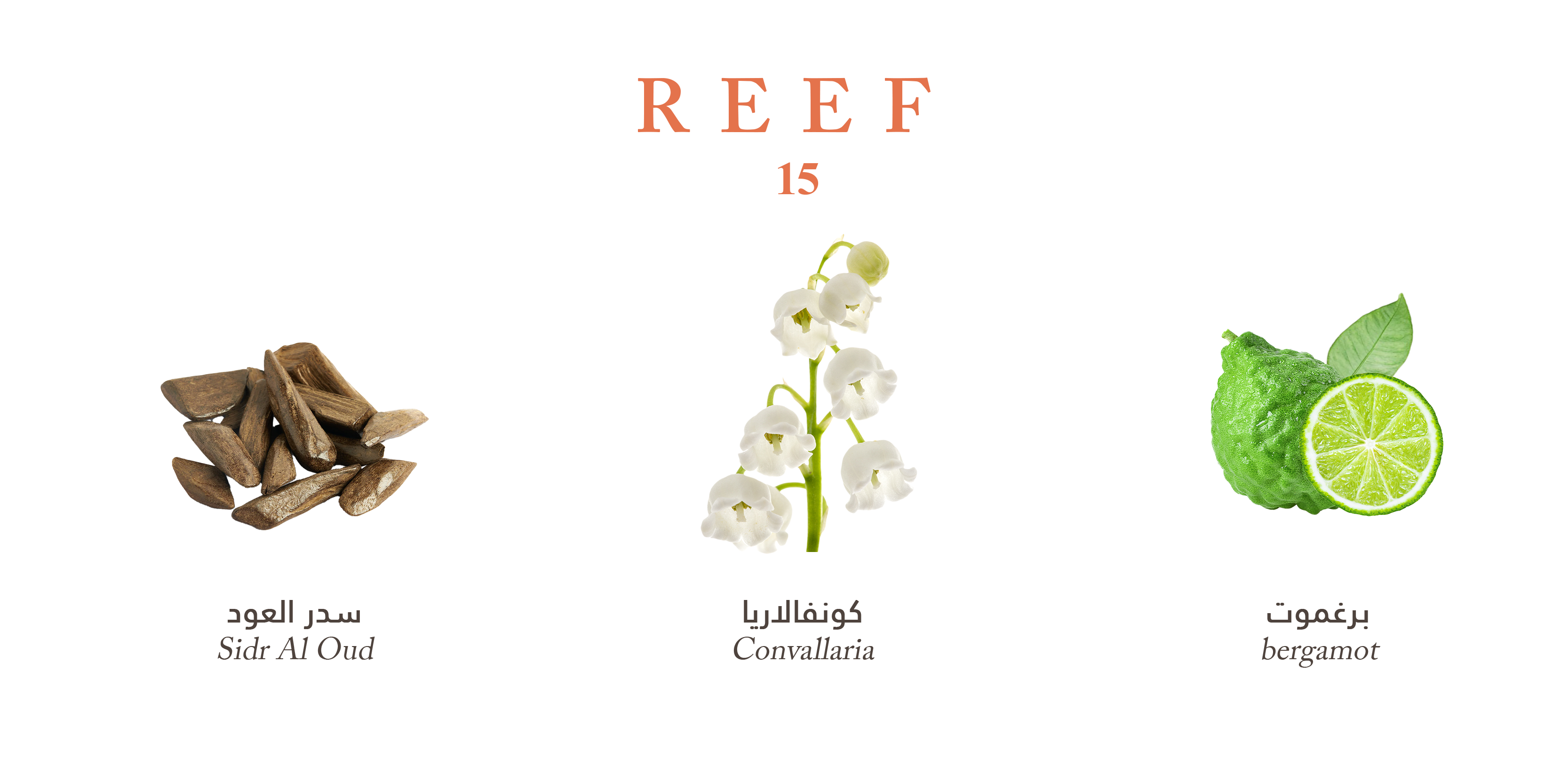 Reef 15 - Valor Fresh Oud