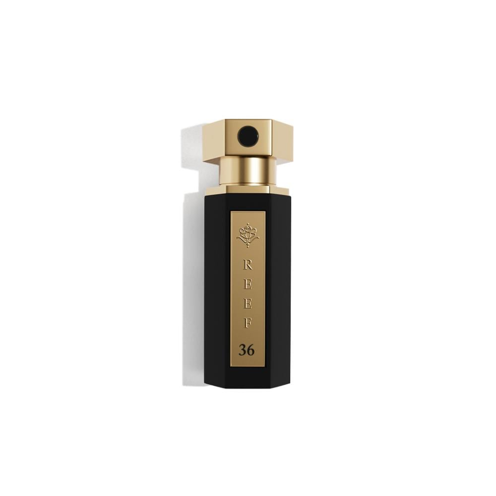 Reef 36 - Mini