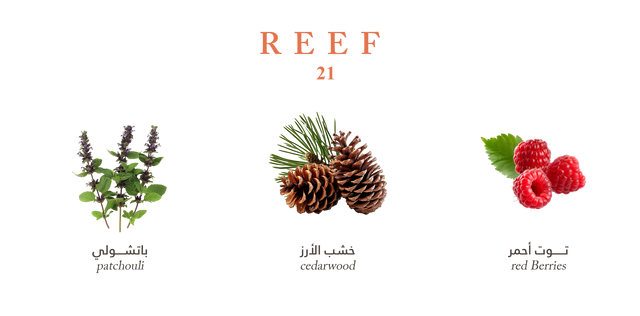 Reef 21 – Mini
