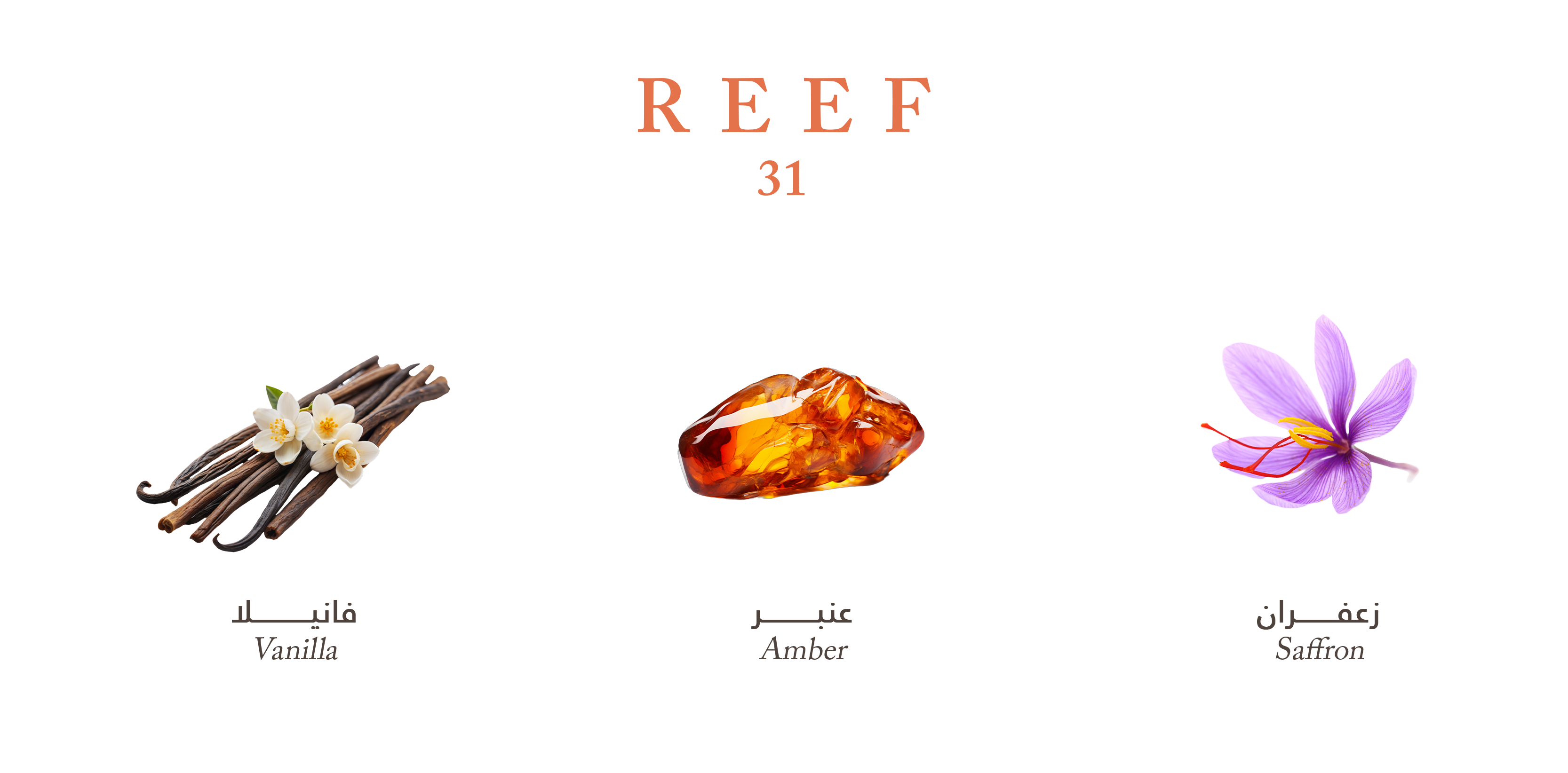 Reef 31 – Royal Amber Intensity
