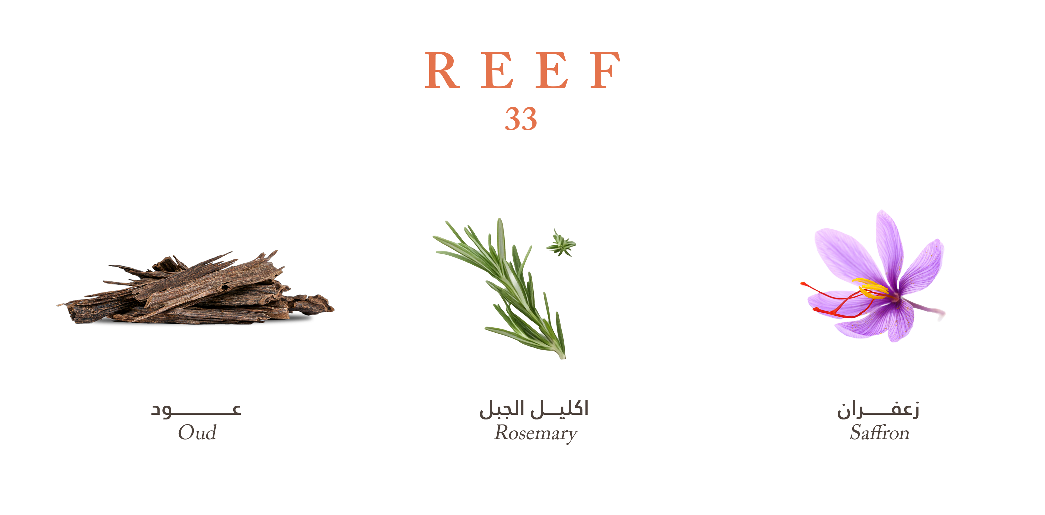 Reef 33 - Royal Oud Harmony