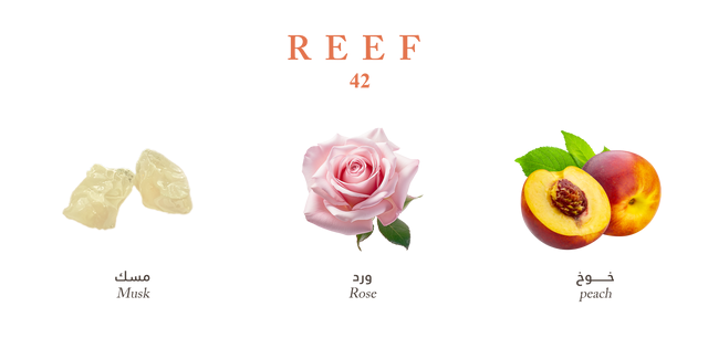 Reef 42 - Mini