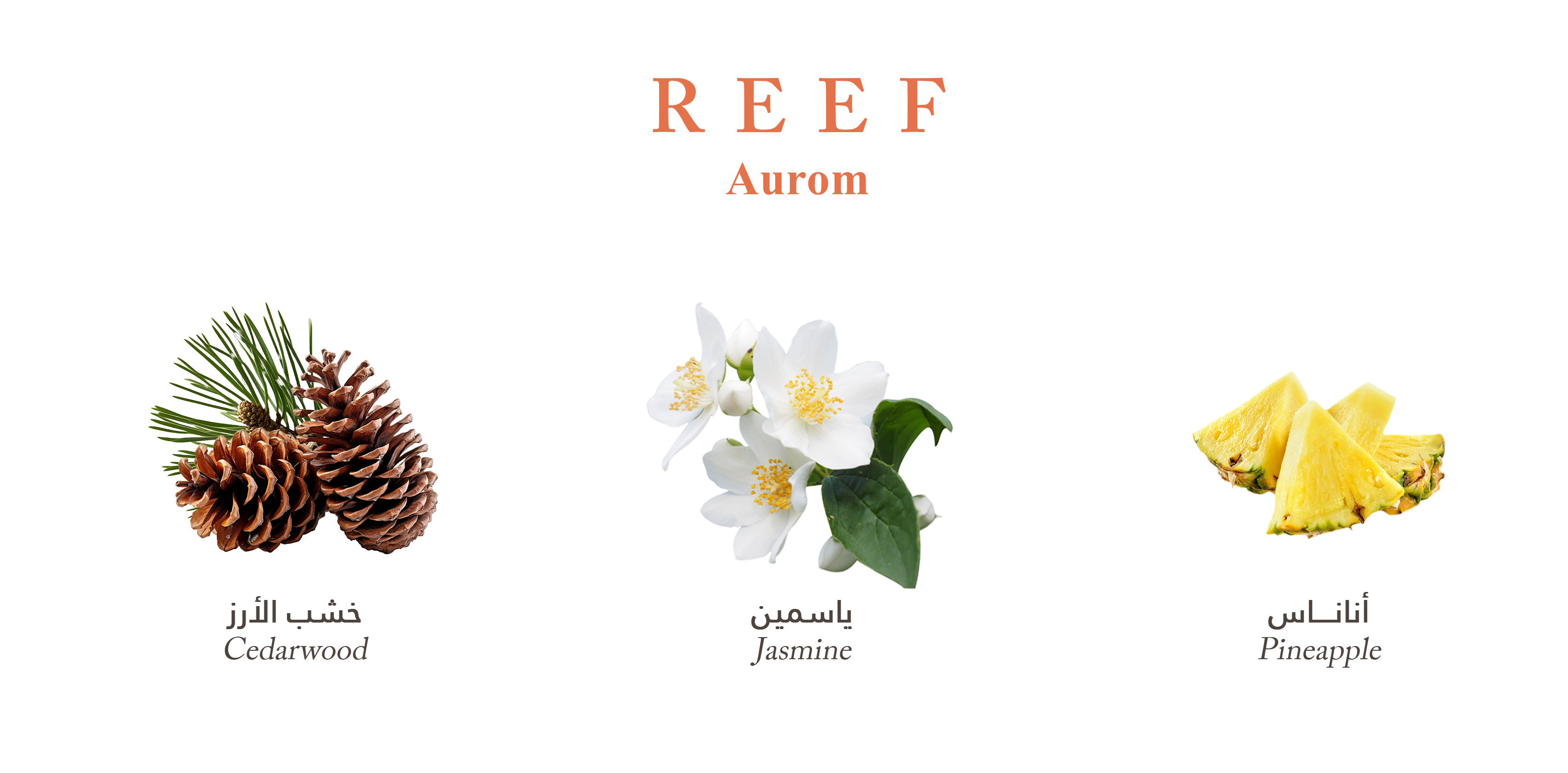 Reef Aurum