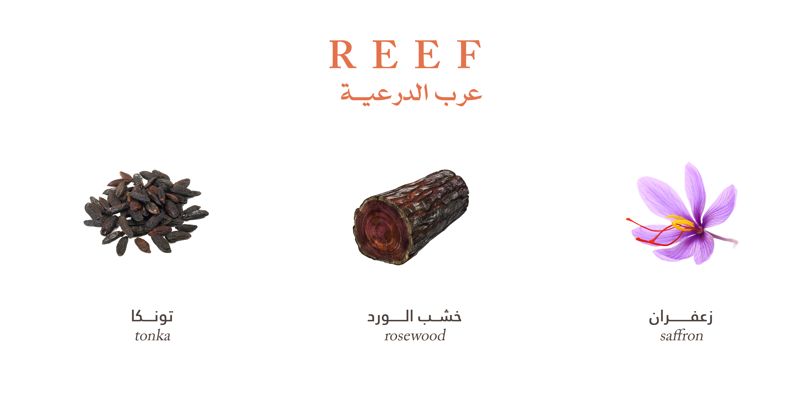 ITmMli2fFvfB7O0BP523iRIIGwPHxZH5.png