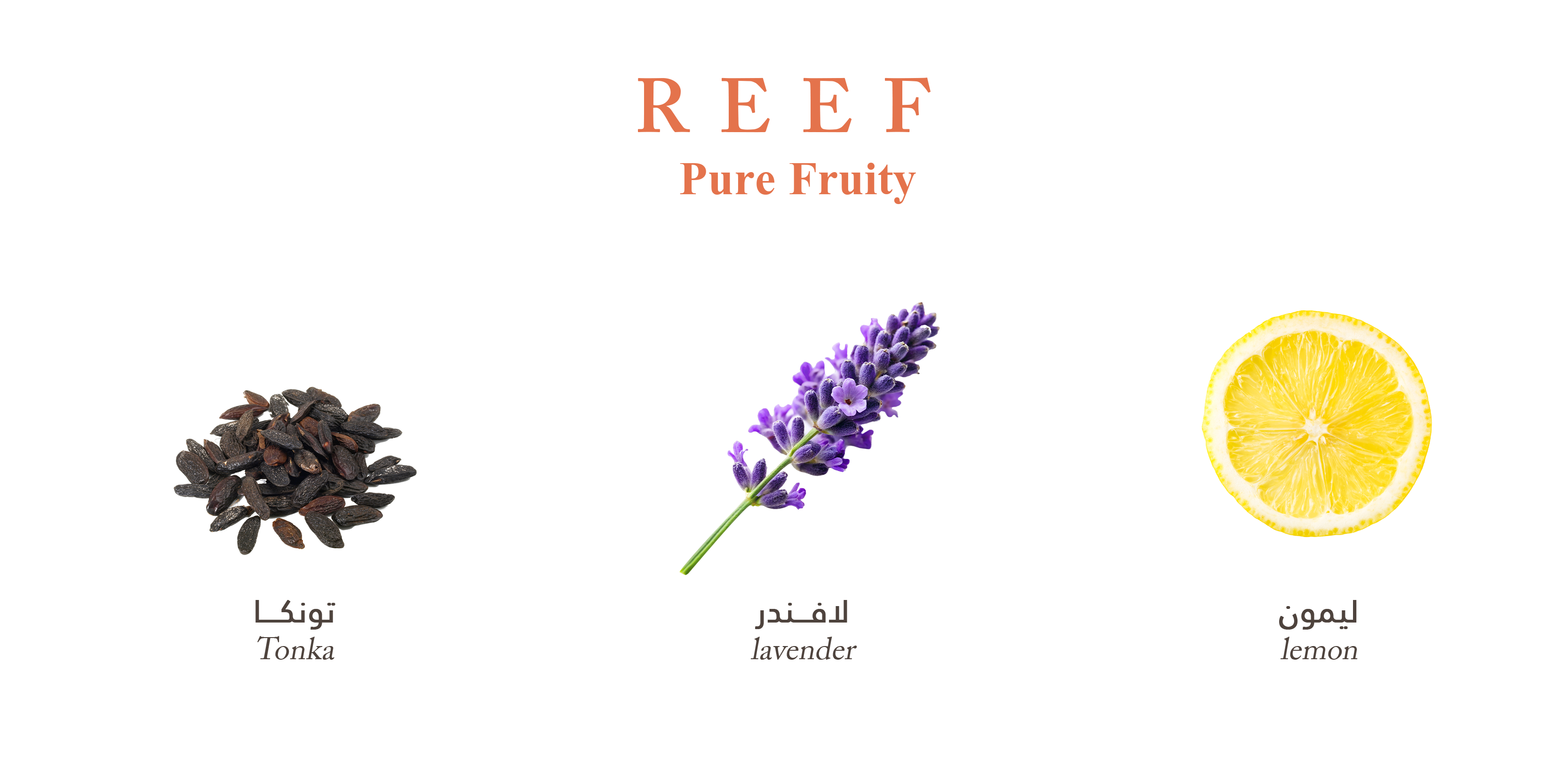Reef Pure Fruity
