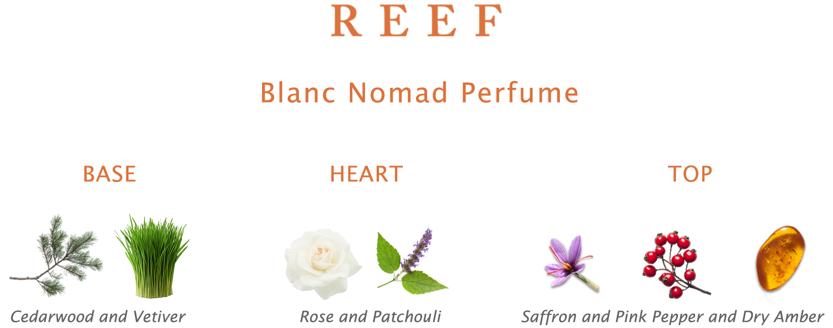 Reef Blanc Nomad