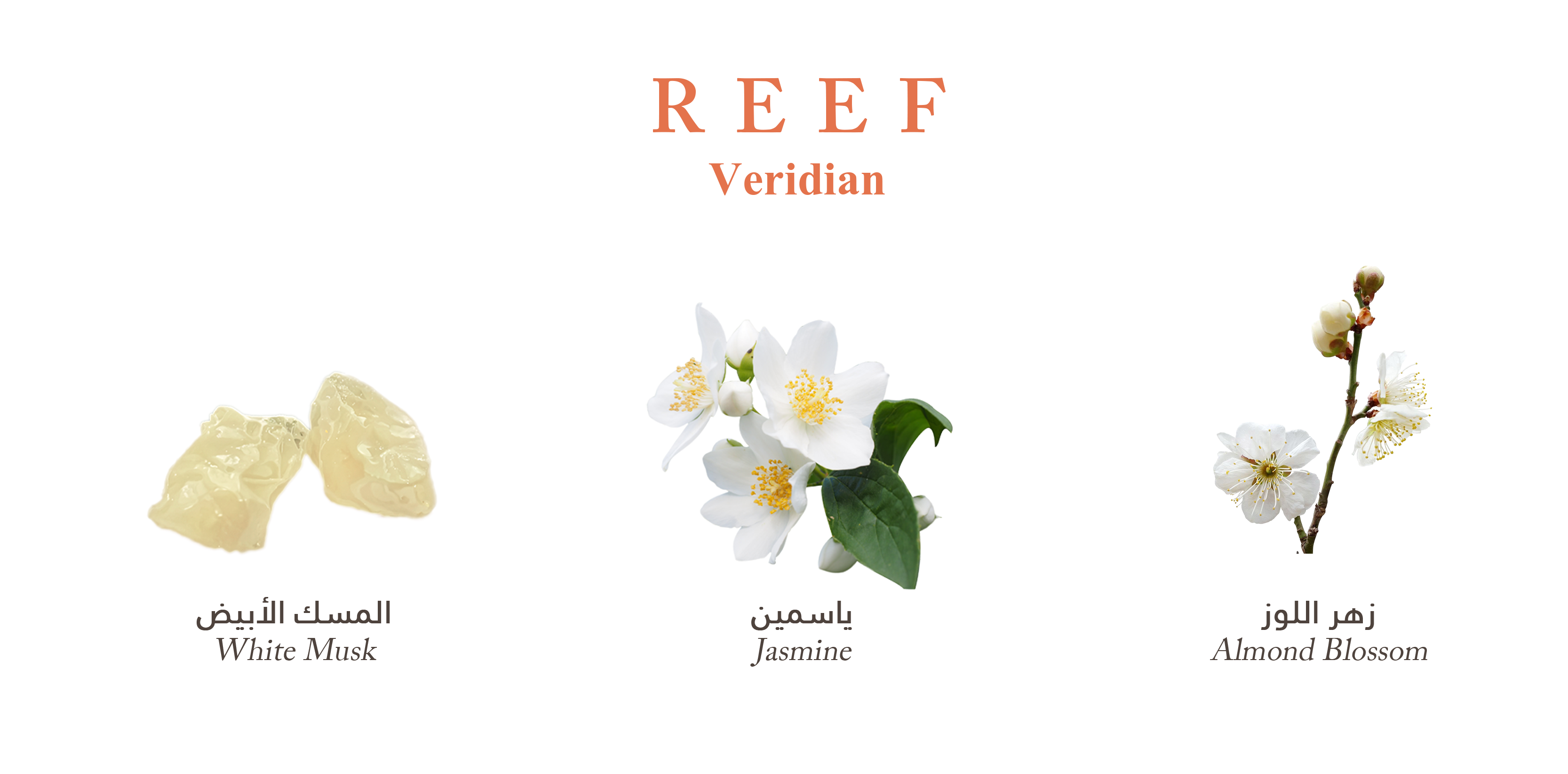 Reef Veridian