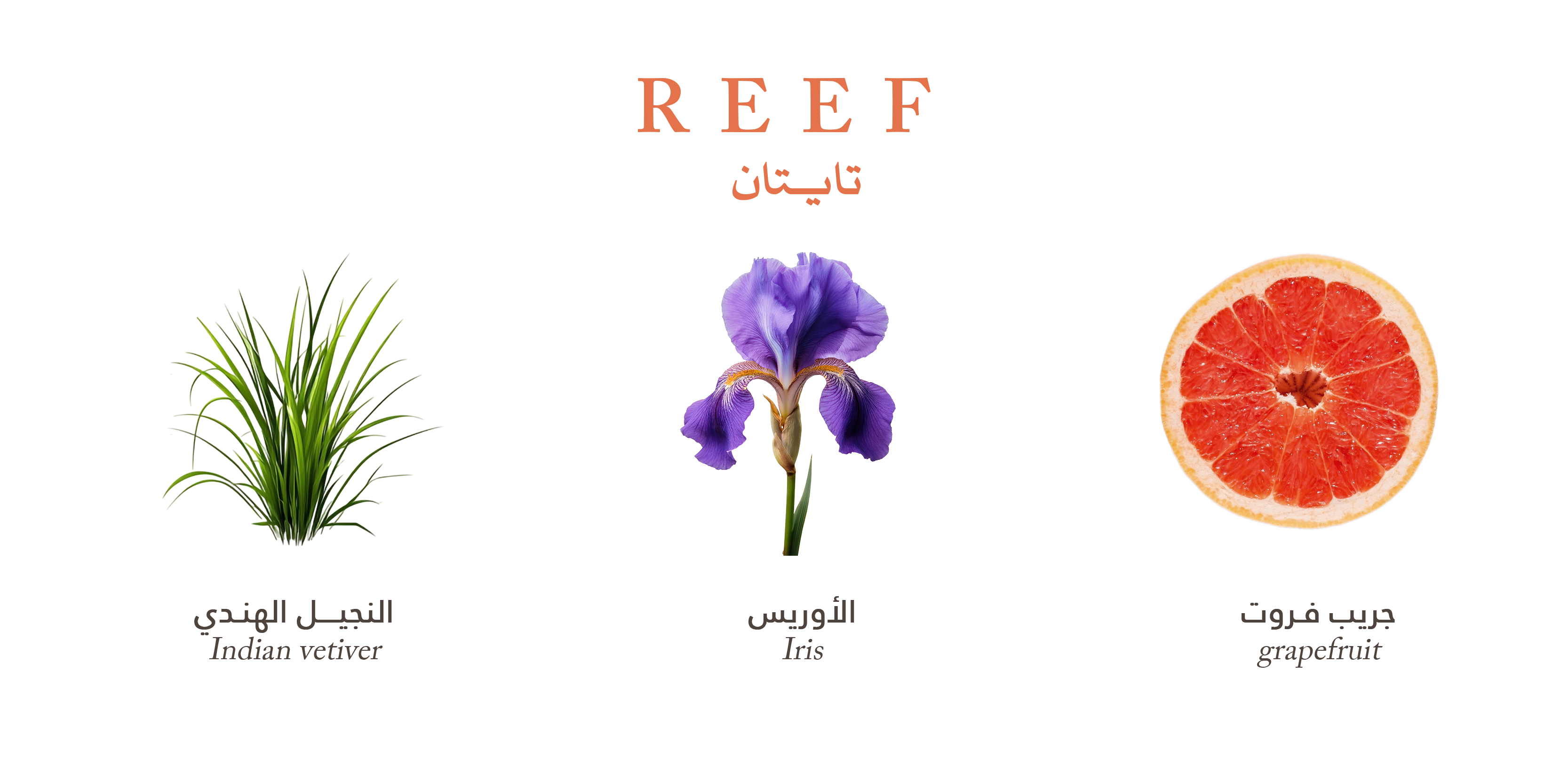 Reef Titan – Sweet Citrus Spark