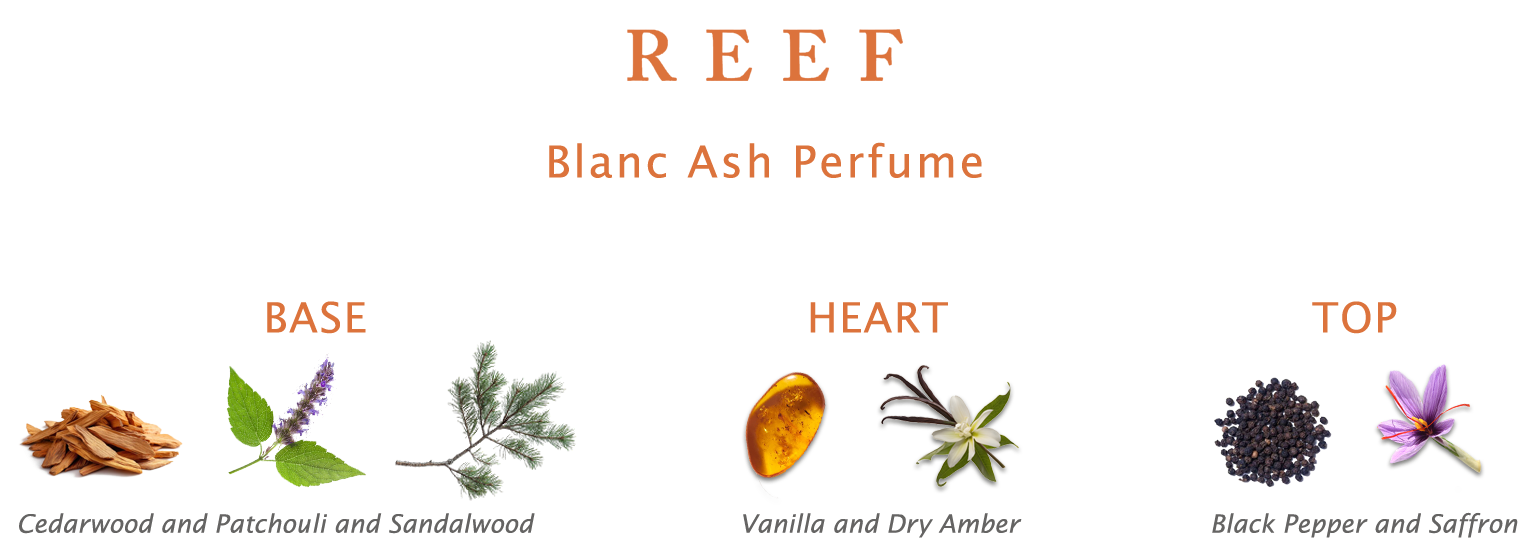 Reef Blanc Ash