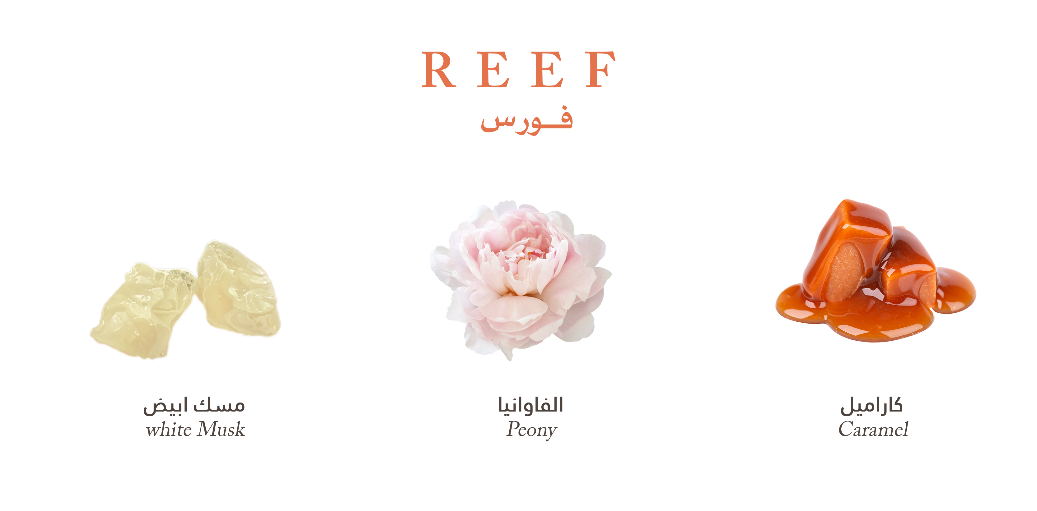 Reef Force – White Musk Bloom