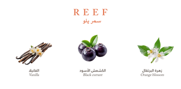 Reef Yellow - Mini