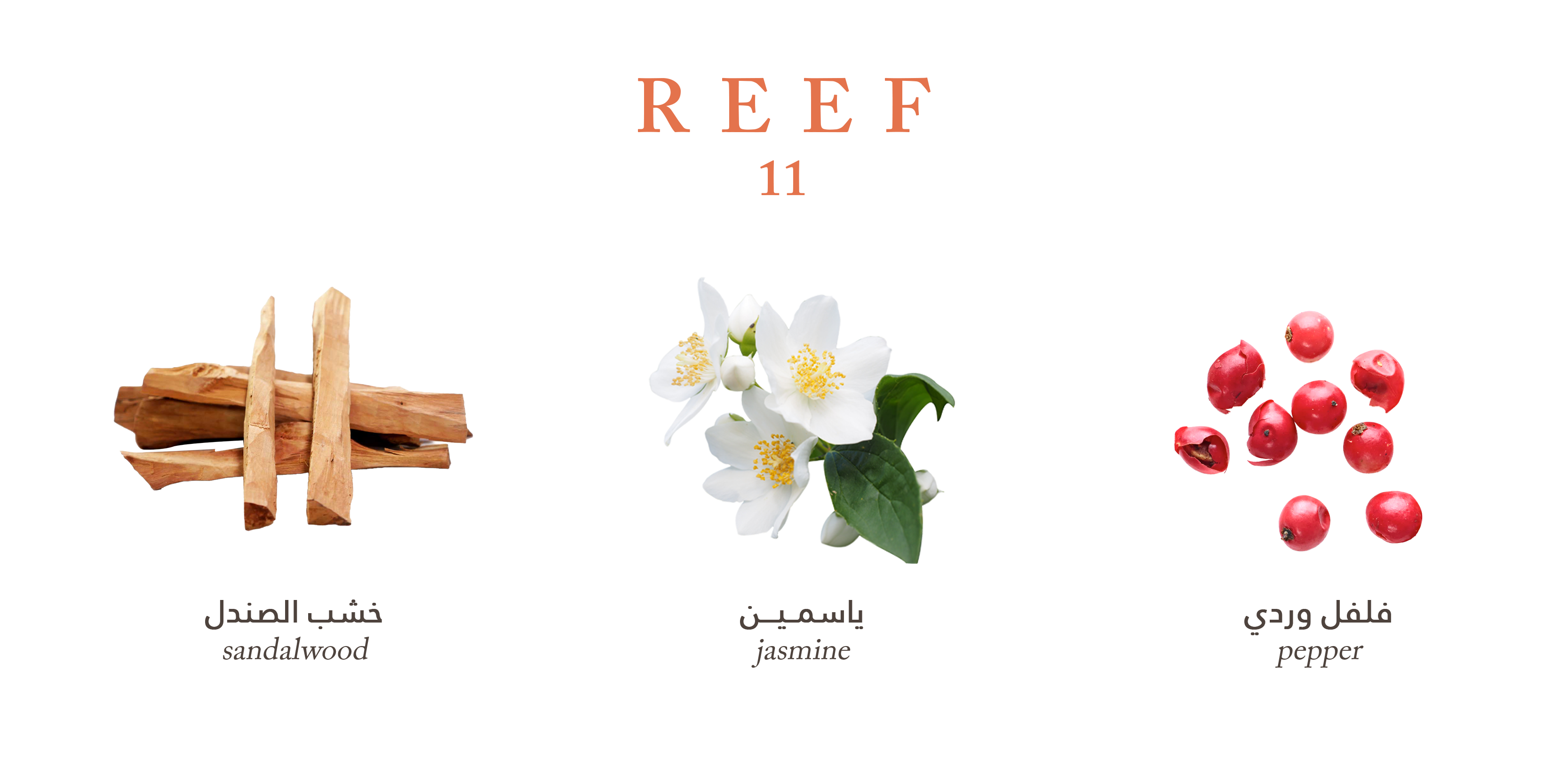 Reef 11 – Deep Sandalwood Sophistication
