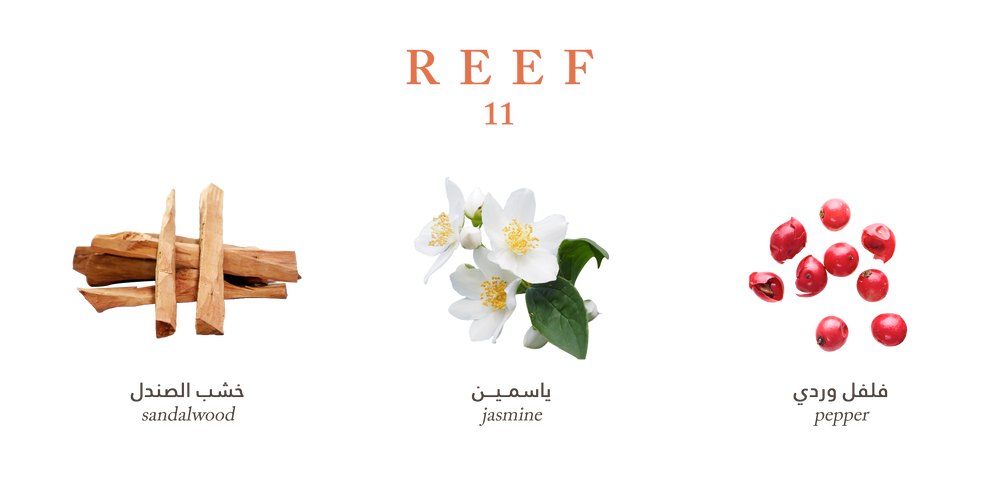 Reef 11 - Diffuser