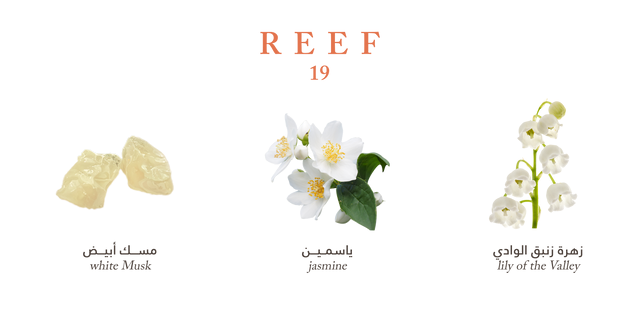 Reef 19 - Mini