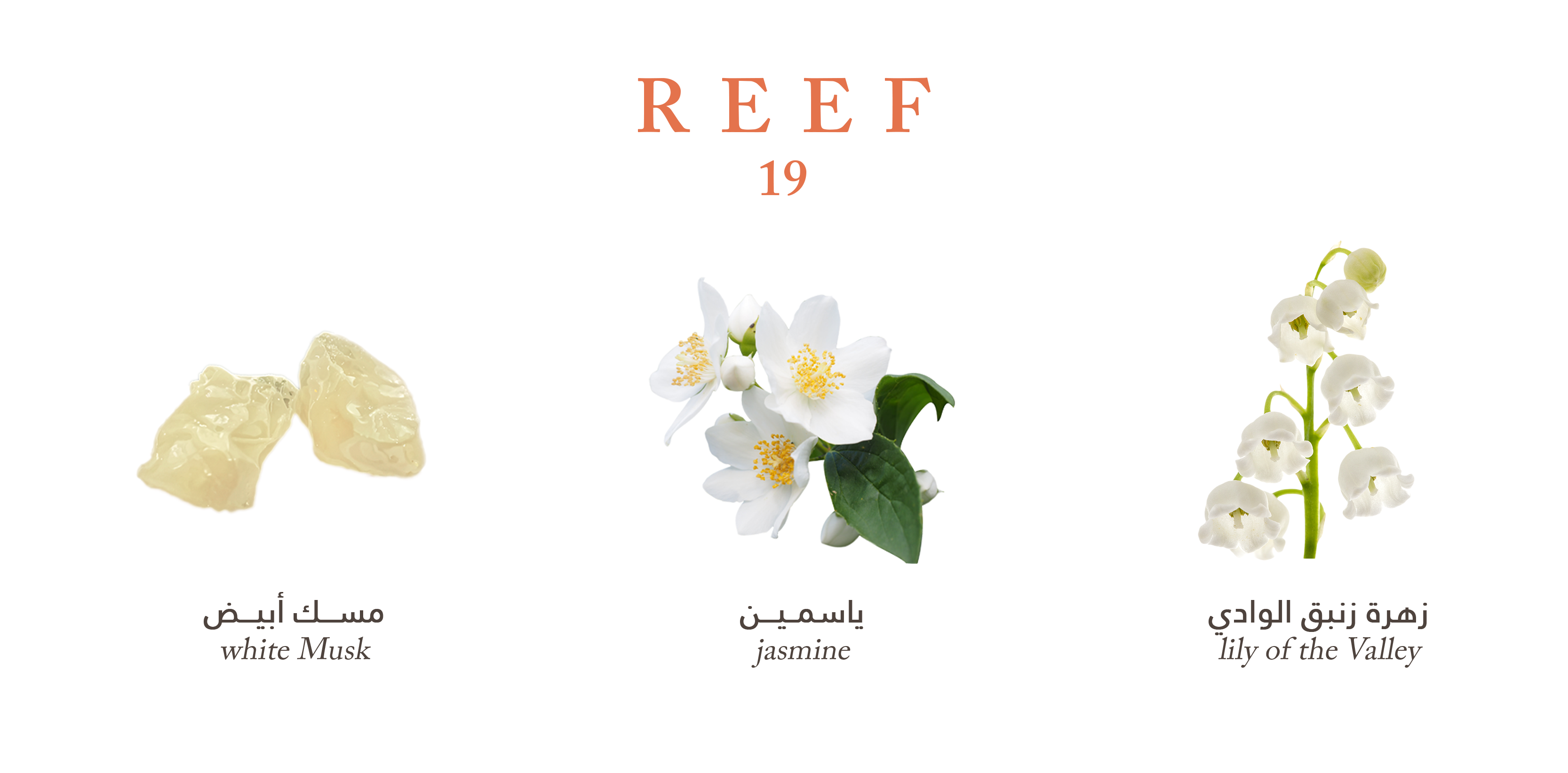 Reef Mood 19 - Air Freshener
