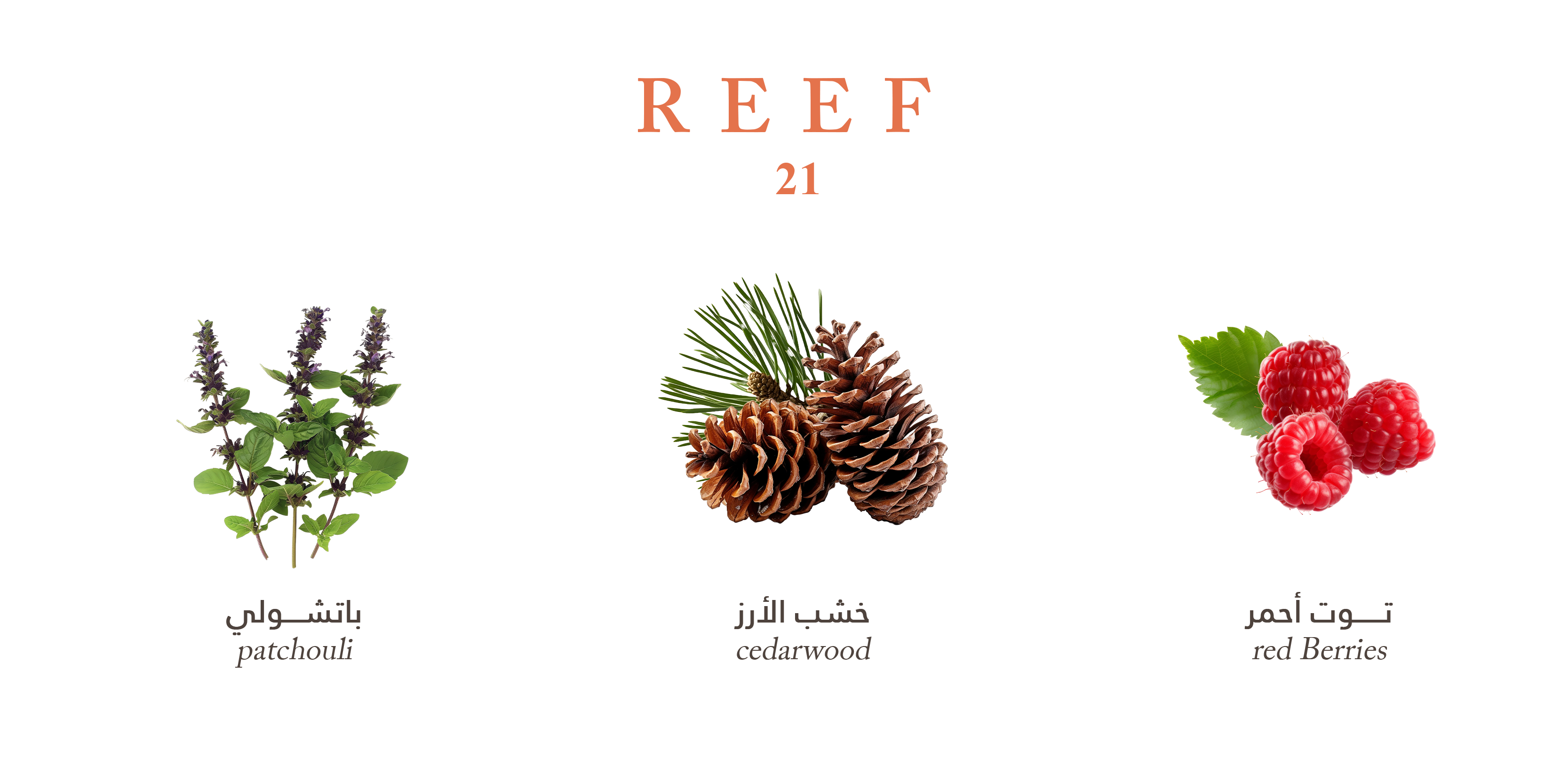 Reef 21 - Hair and Body Mist