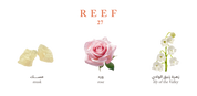 Reef 27 – A Whisper of Rose