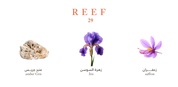 Reef 29 - Golden Saffron Veil