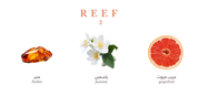 Reef 2 – Amber and Jasmine Symphony
