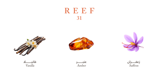 Reef 31 - Mini