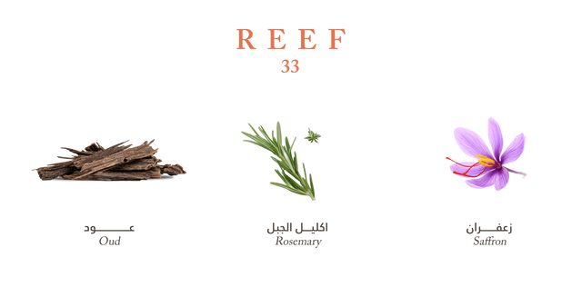 Reef 33 - Mini