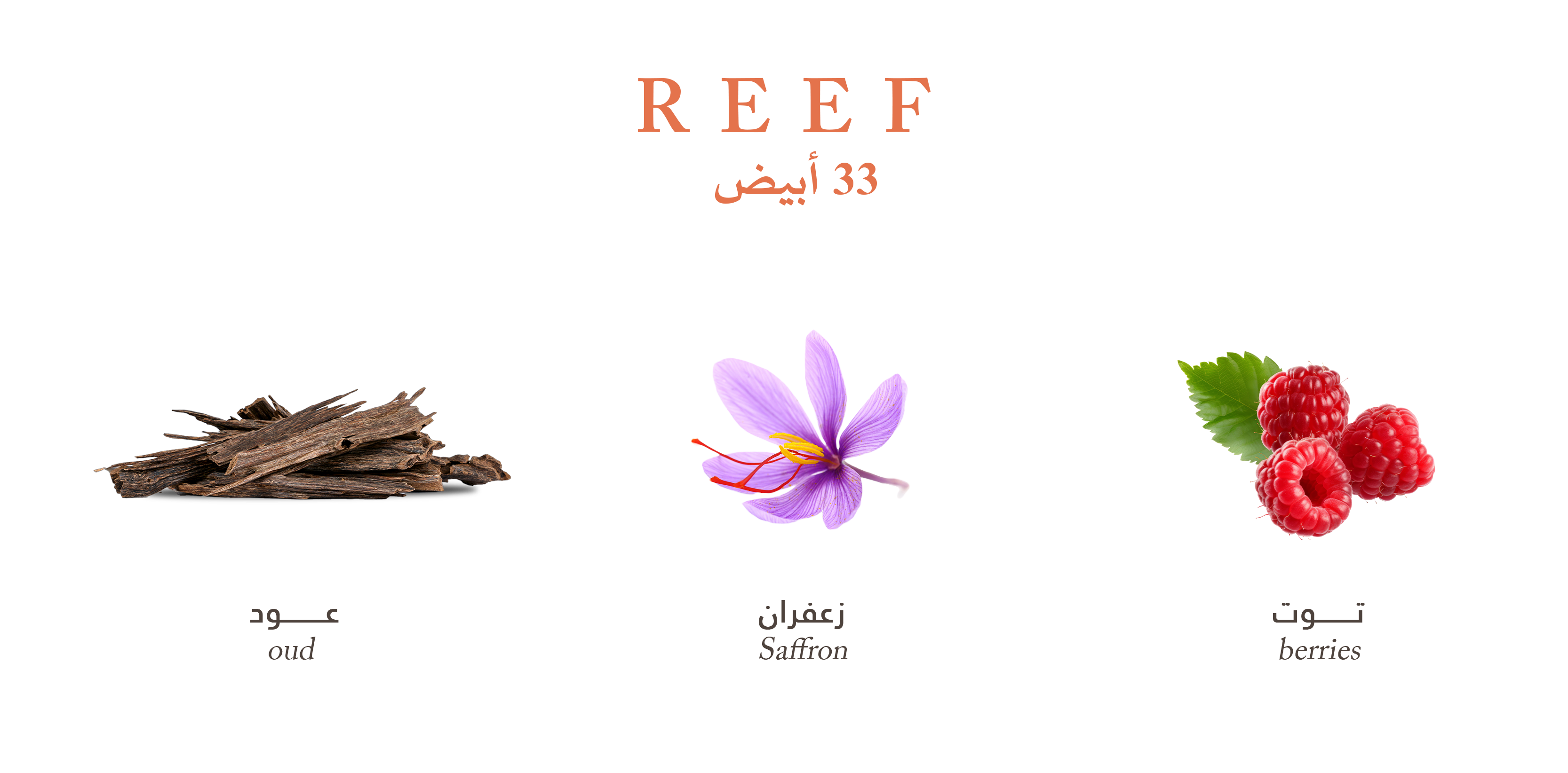 Reef 33 White - Mystic Oud Trail