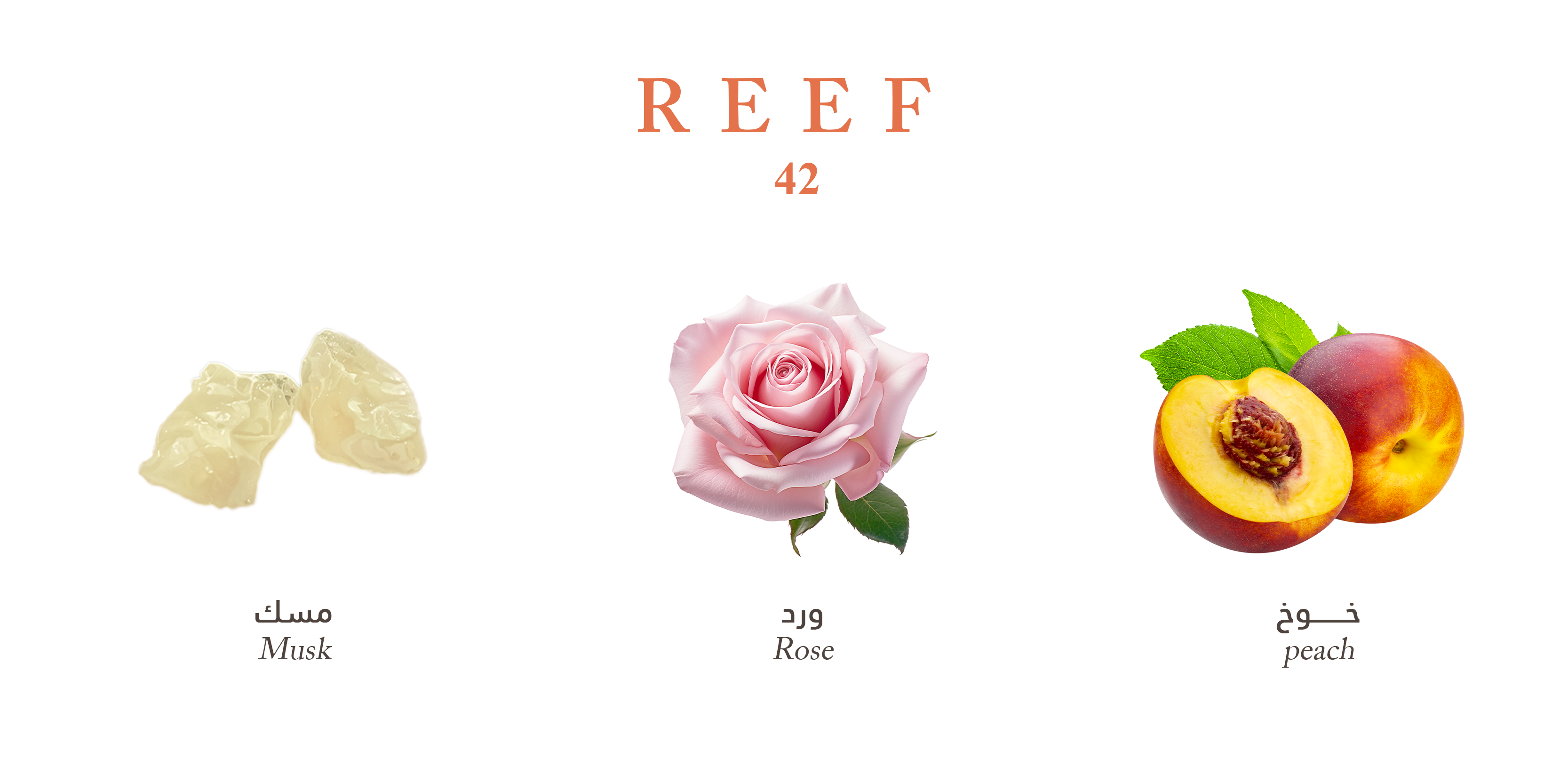Reef 42 – Luxurious Rose Musk