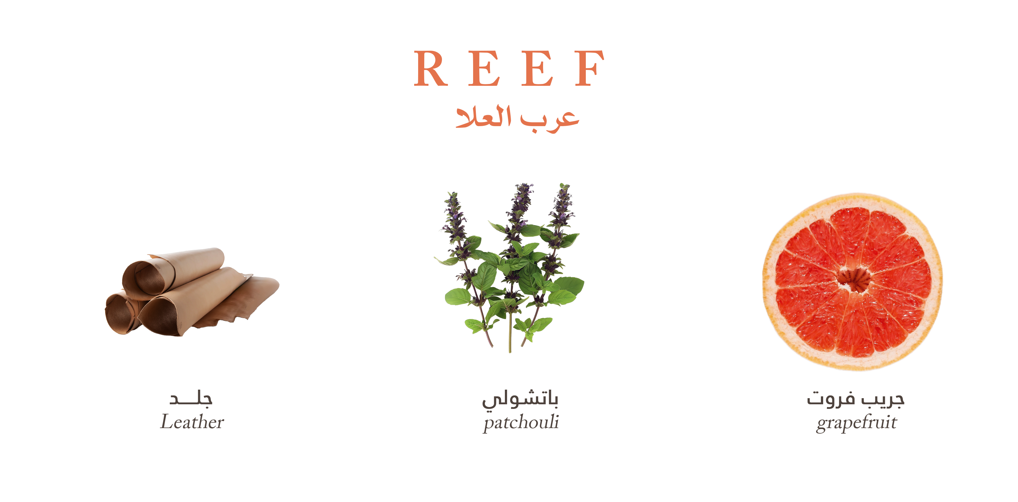 Reef Al Ola – Dark Leather Embers