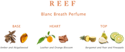 Reef Blanc Breath