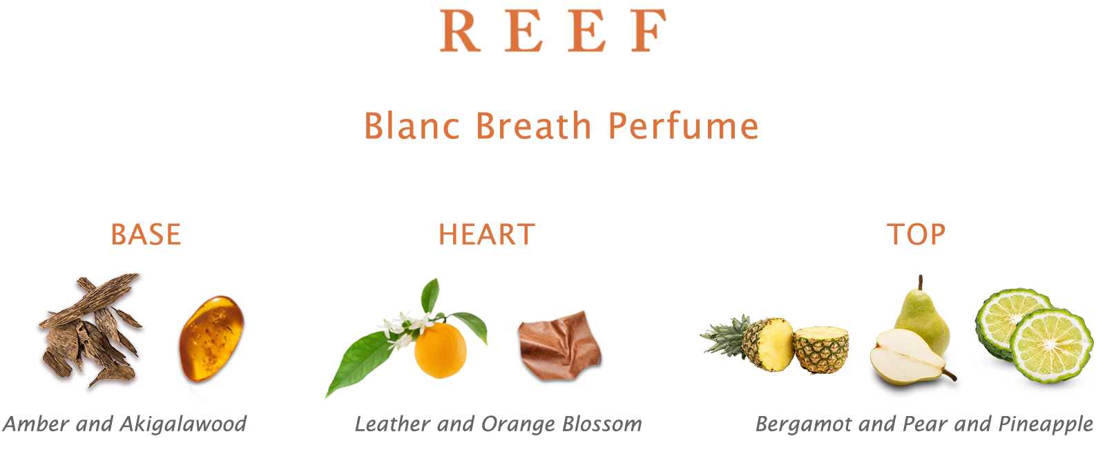 Reef Blanc Breath