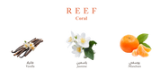 Reef Coral