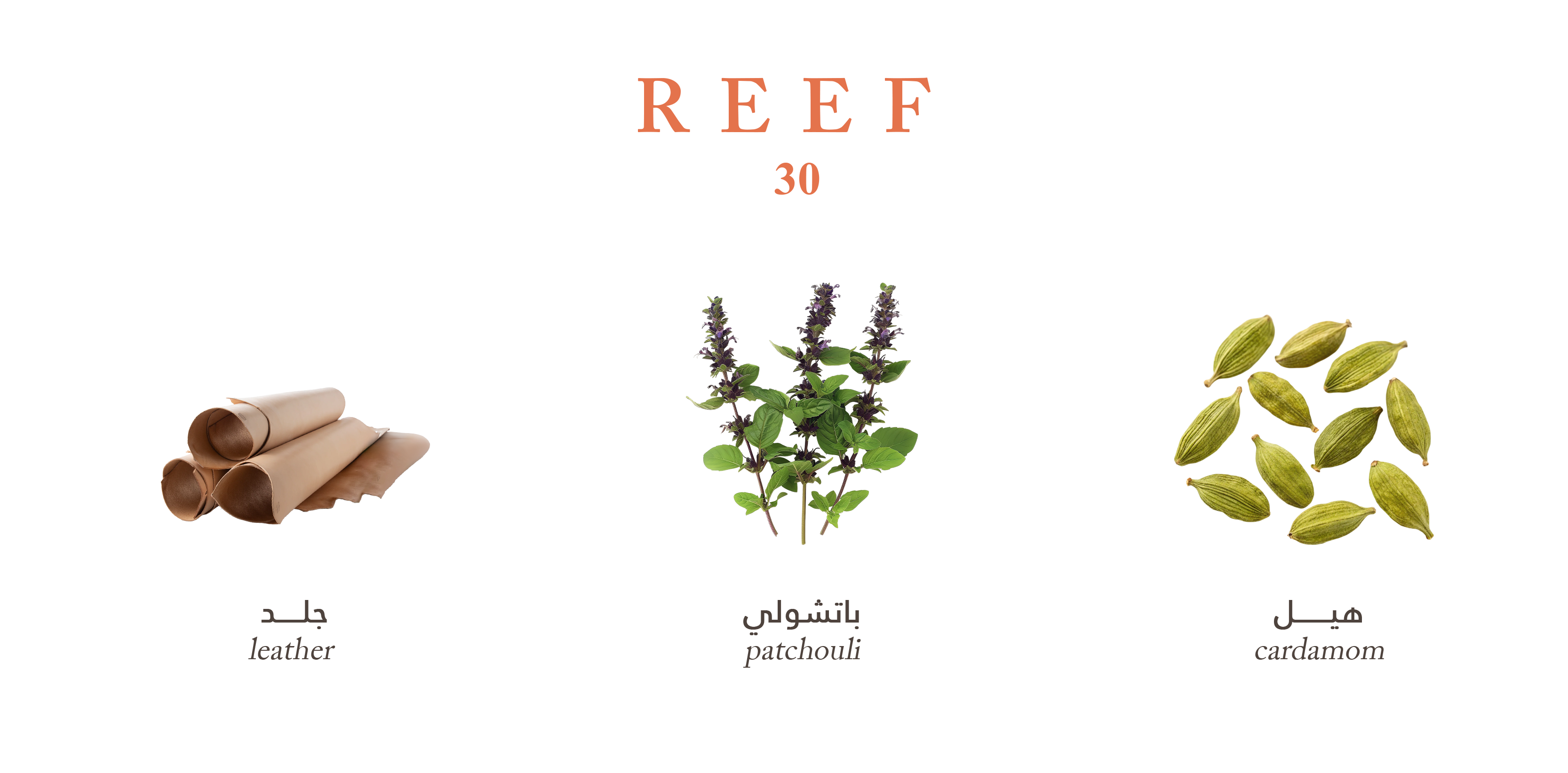 Reef 30 – Bold Patchouli Leather