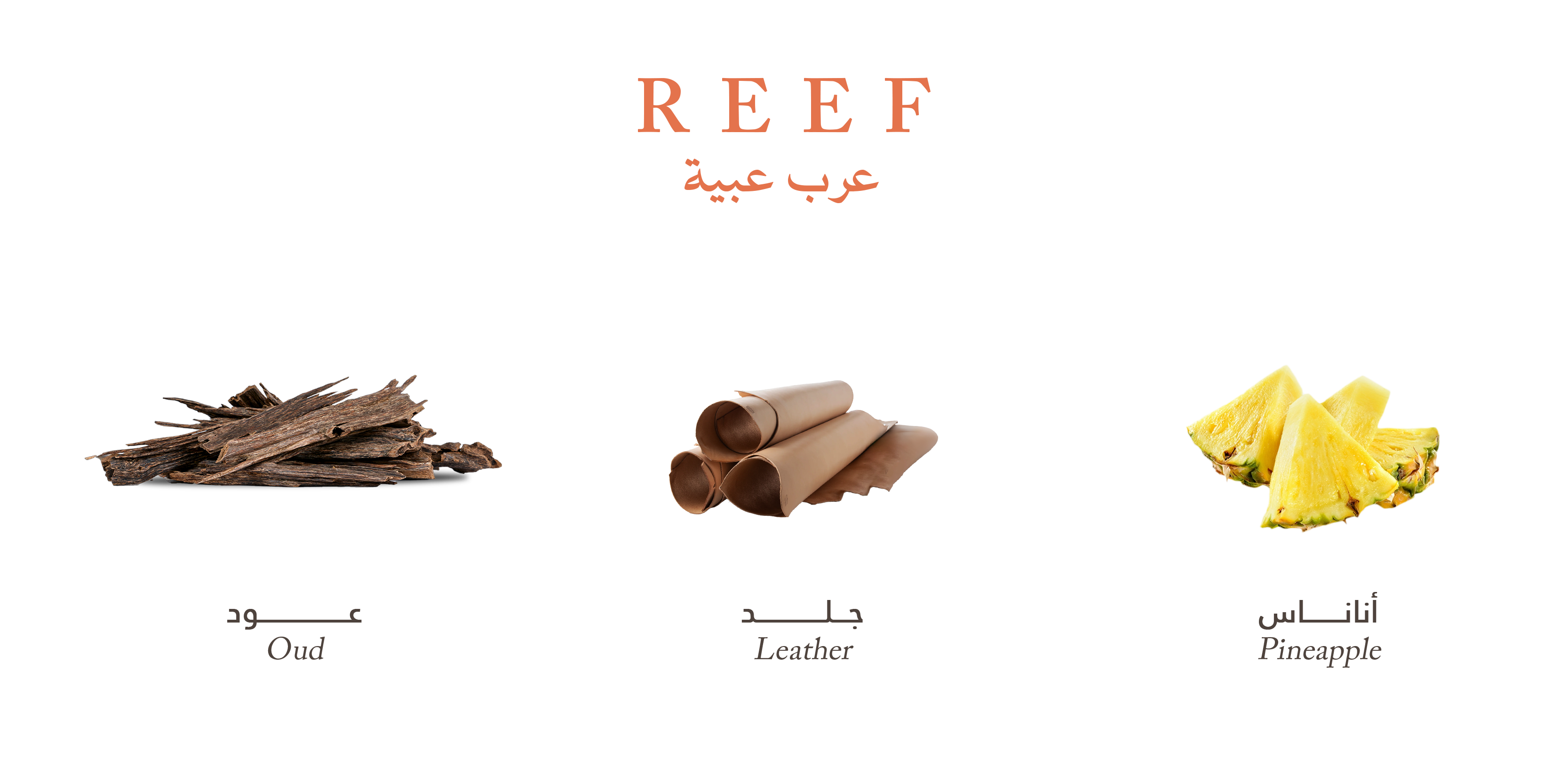 Reef Obaiah – Oud Resin Intensity
