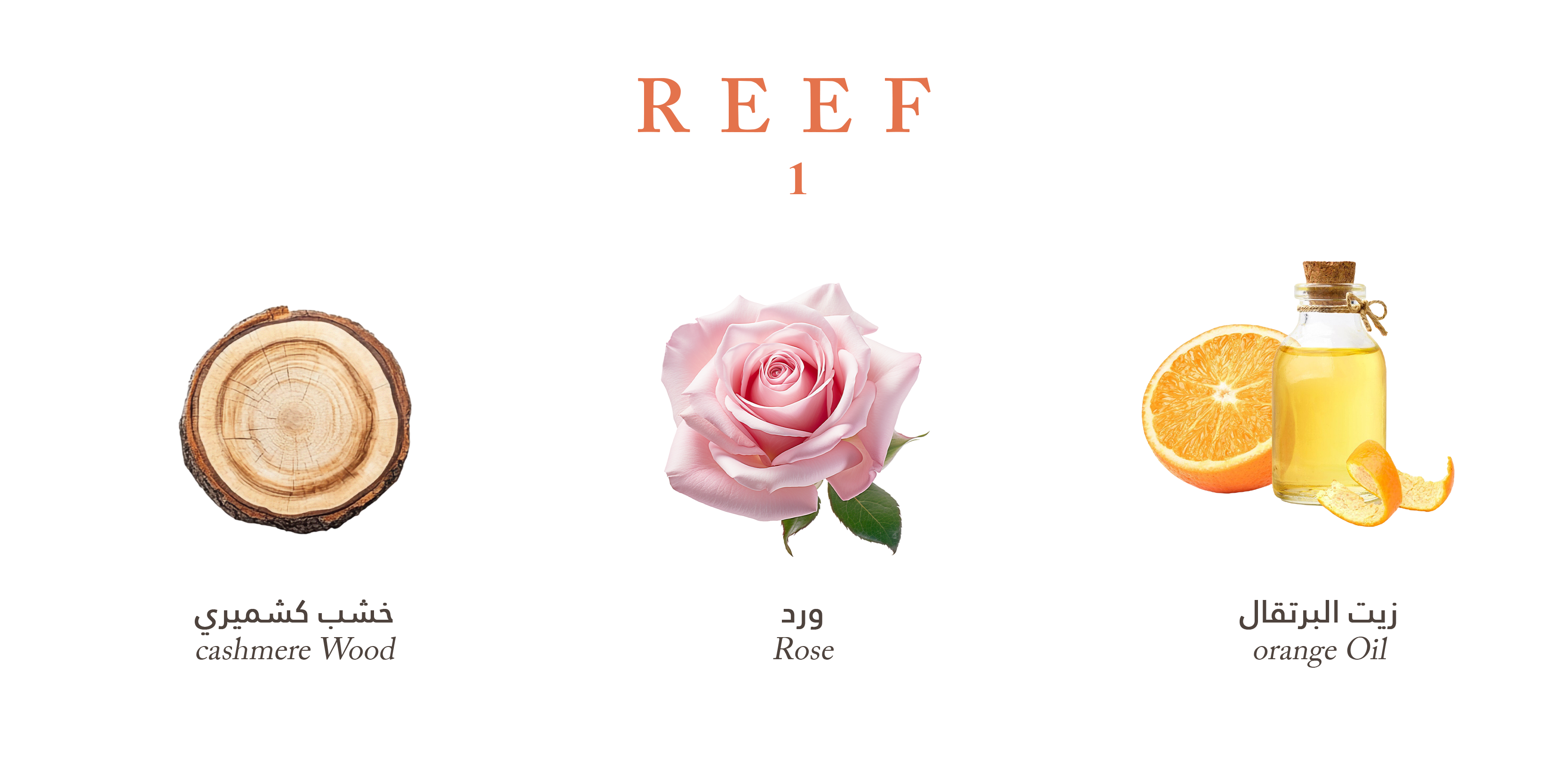 Reef 1 - Cashmere Wood Richness