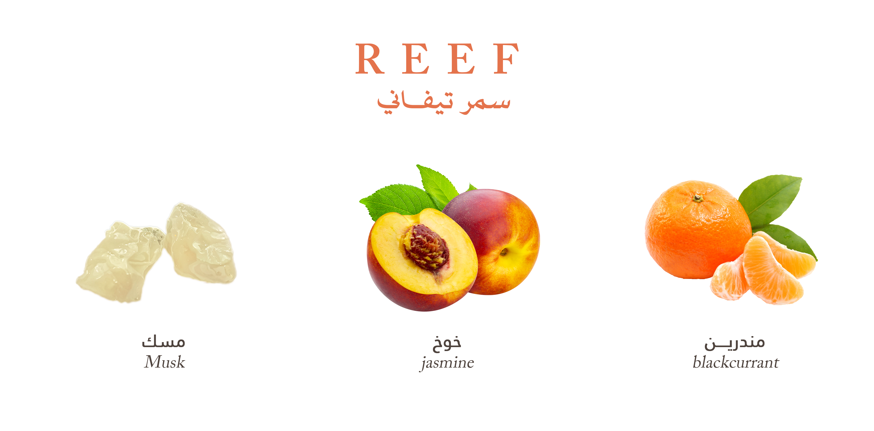 Reef Tiffany – Summer Fresh Musk