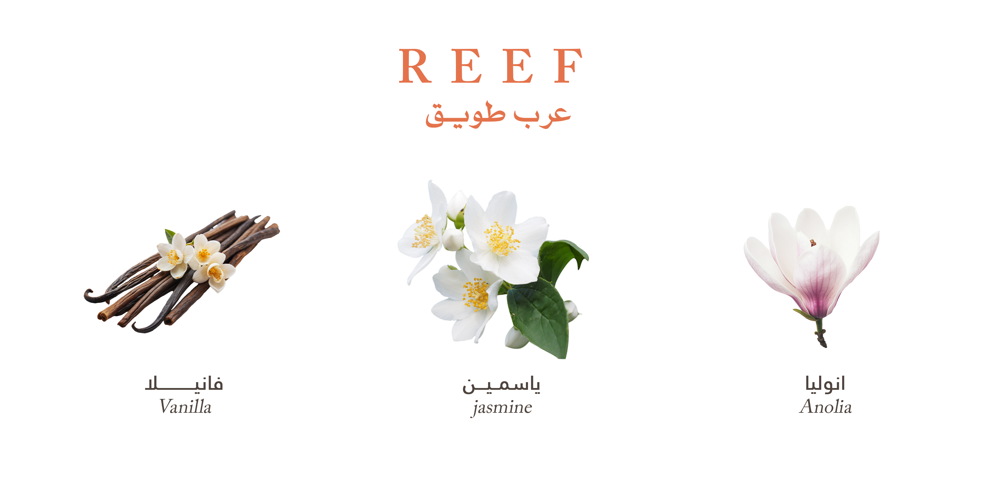 Reef Tuwayq – Spicy Vanilla Lure