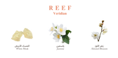 Reef Veridian