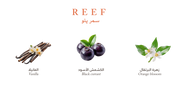 Reef Yellow – Velvet Vanilla Cradle