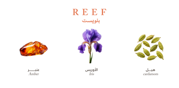 Reef Bluest – Mini