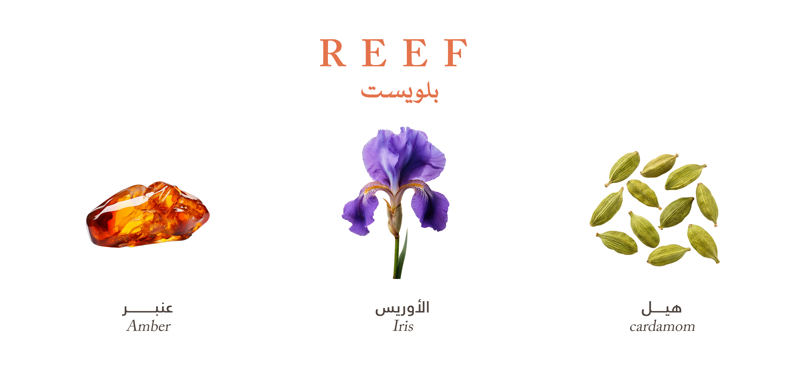 Reef Bluest – Golden Amber Touch