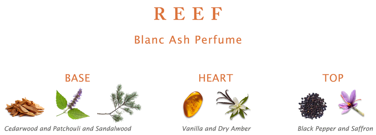 Reef Blanc Ash Collection Set