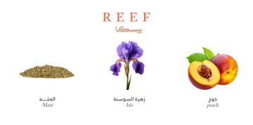 Reef Pesca - Mini