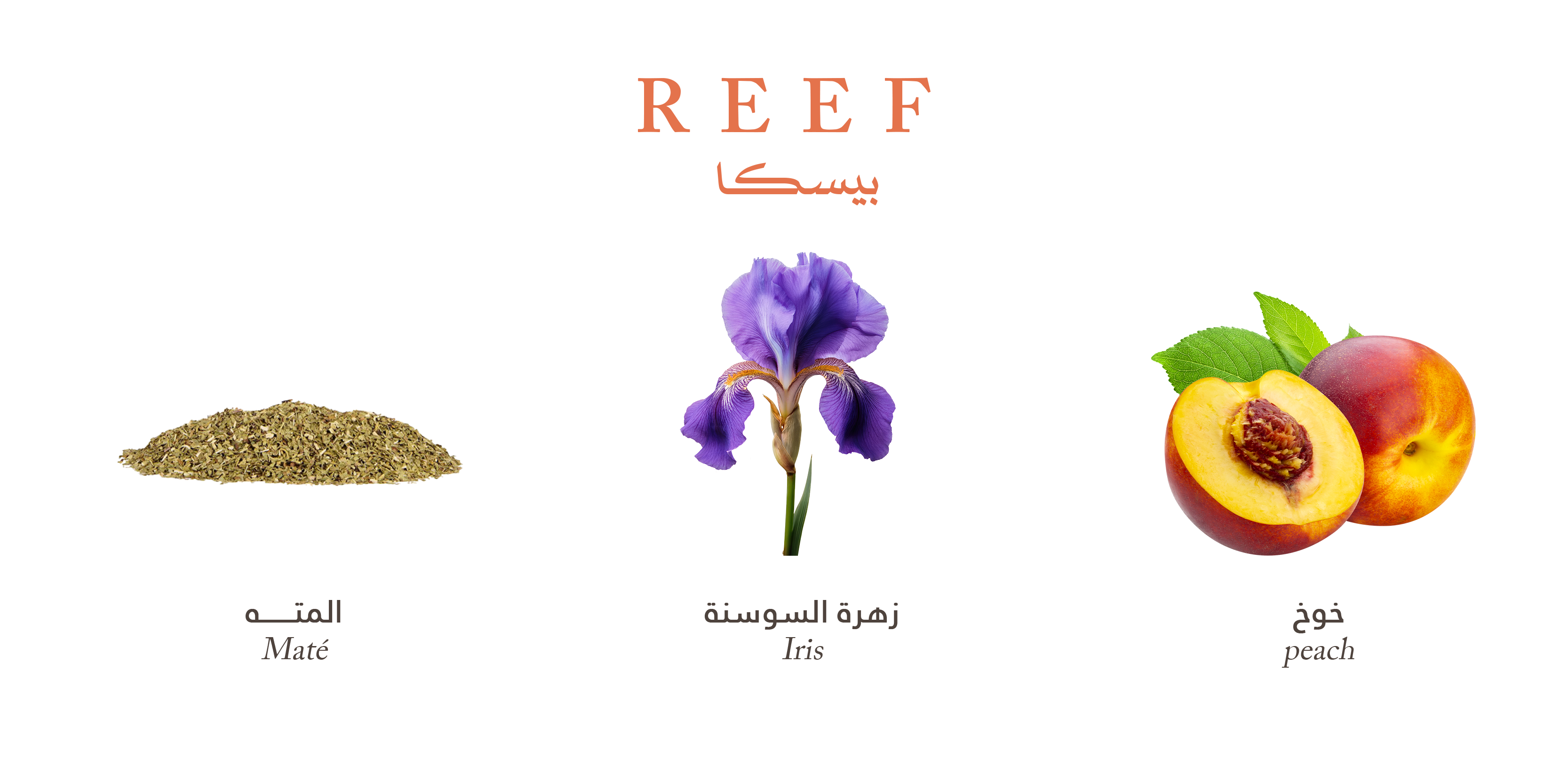 Reef Pesca – Peach Floral Radiance