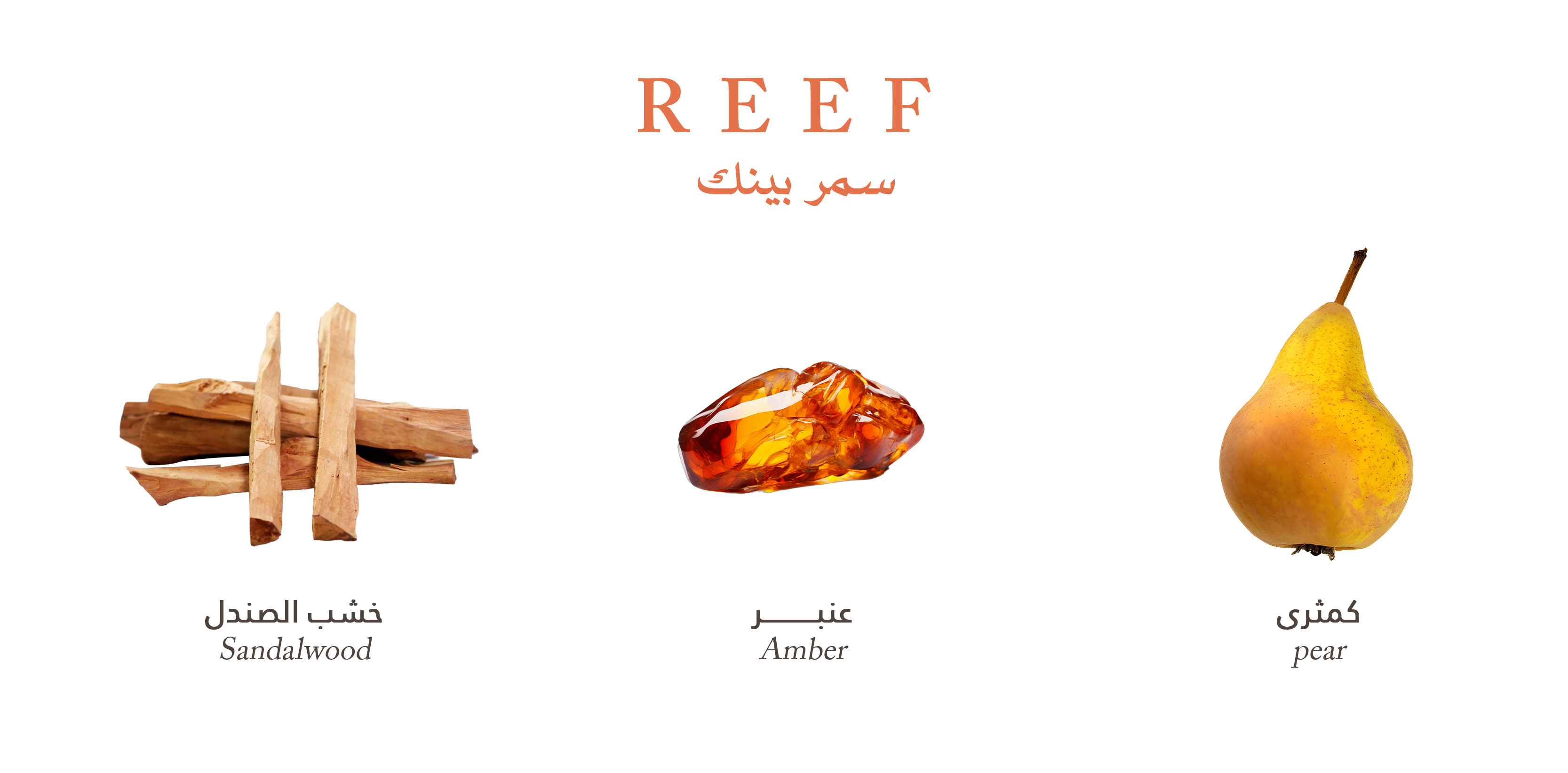 Reef Pink – Amber Silk Blend