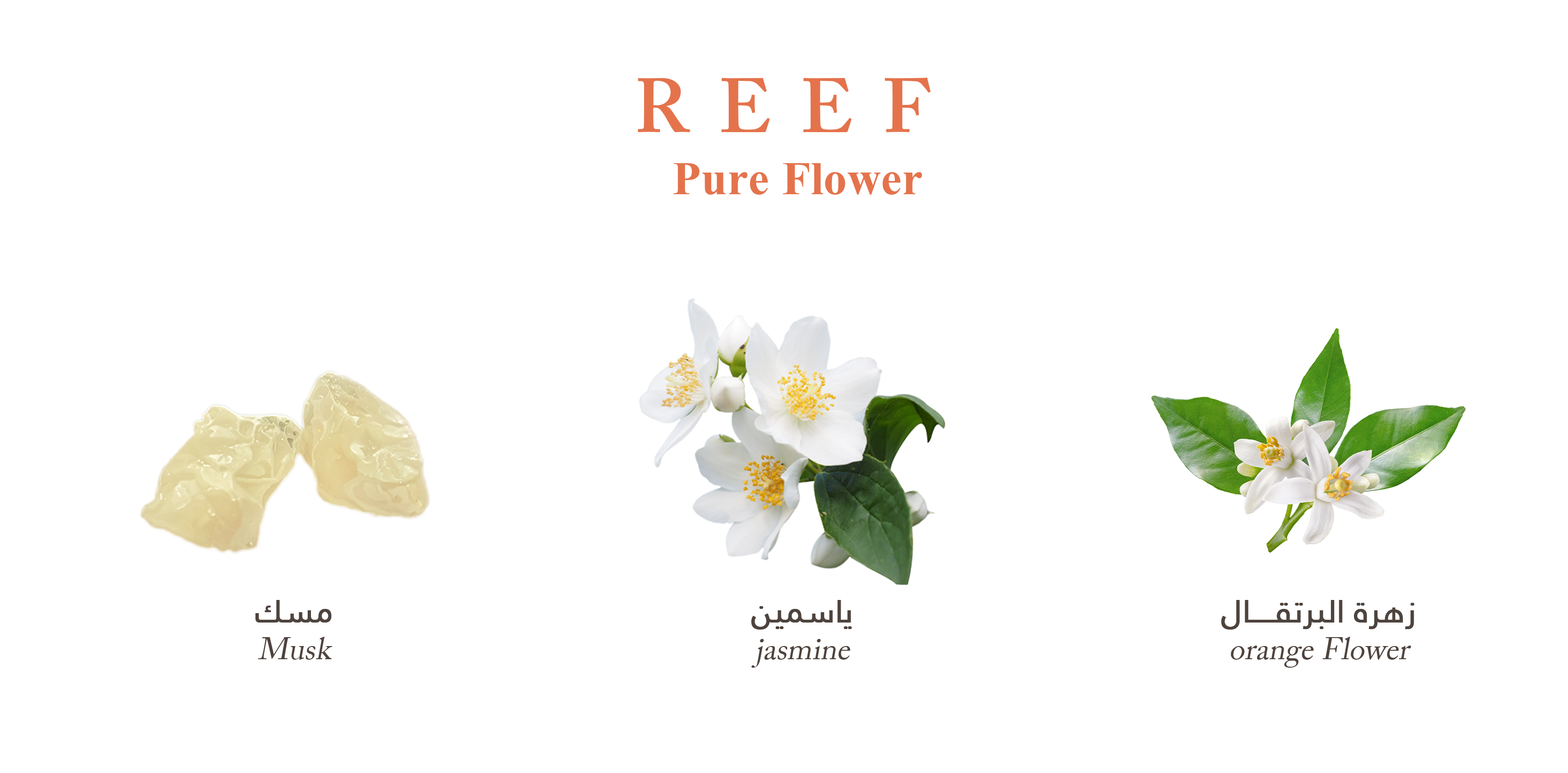 Reef Pure Flower
