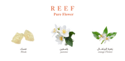 Reef Pure Flower